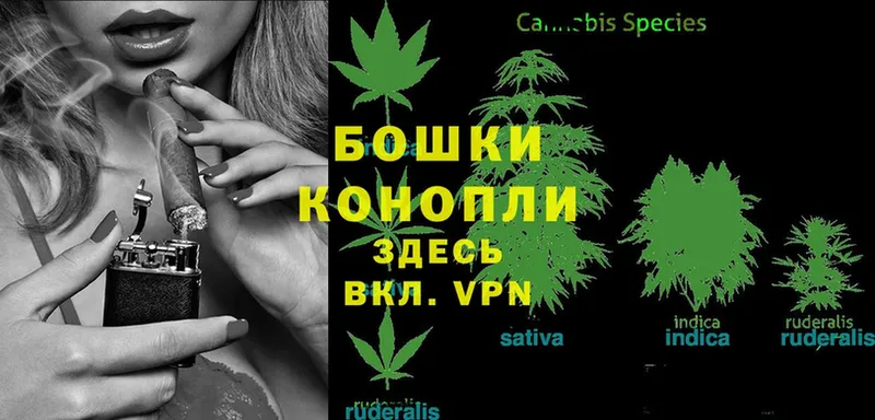 наркотики  ссылка на мегу зеркало  Канабис OG Kush  shop Telegram  Вилюйск 